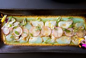 Crudo