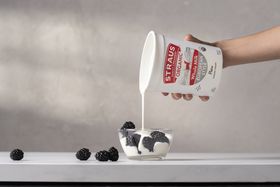 Organic European Style Yogurt