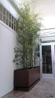 Custom Bamboo Planters