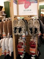 Acorn