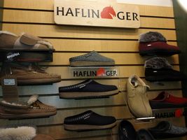 Haflinger