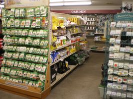 Inside our store 4
