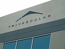 Plexi Letters