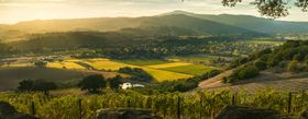 Northbay biz landscape